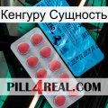 Кенгуру Сущность new14